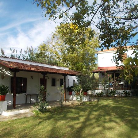 Villa Mina Potistika Extérieur photo